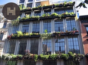 تکنیک هایی برای زیباسازی نما ساختمان